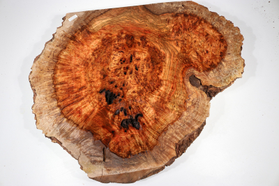 Chechen Burl 560x450x65mm - ChechM0277