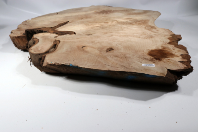 Walnut Burl 660x590x65mm - NusBM0774