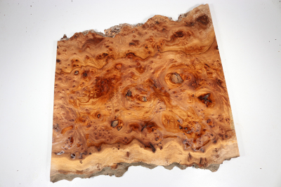 Elm Burl 500x490x25mm - RuesM0510