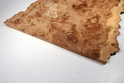 Elm Burl 500x490x25mm - RuesM0510