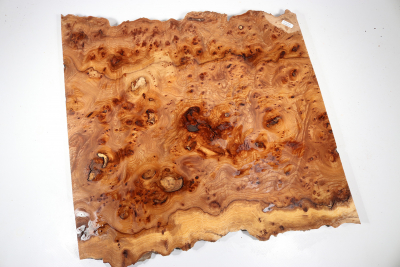 Elm Burl 500x490x25mm - RuesM0510