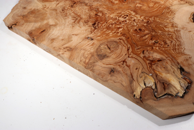 Elm Burl 600x530x25mm - RuesM0508