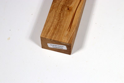 Knife Block Orange Tree - Oran0045