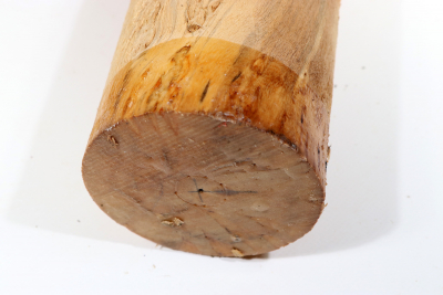 Karelian Masurbirch, spalted 190x85mm - KarMB2473