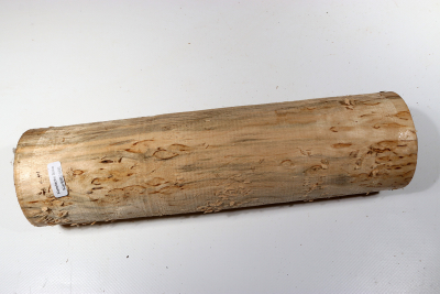 Karelian Masurbirch, spalted 290x75 mm - KarMB2466