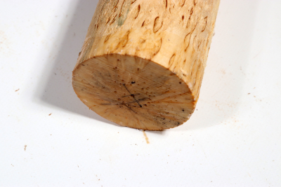 Karelian Masurbirch, spalted 325x65 mm - KarMB2676