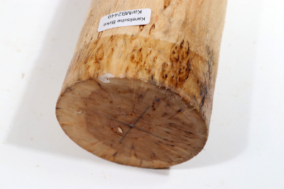 Karelian Masurbirch, spalted 330x70mm - KarMB2449