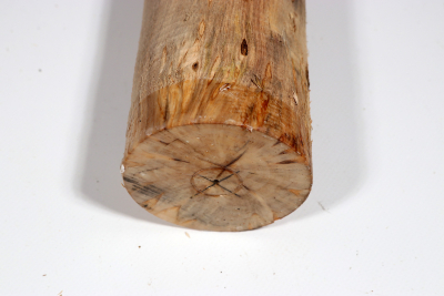 Karelian Masurbirch, spalted 340x70mm - KarMB2259