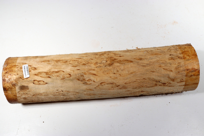 Karelian Masurbirch, spalted 340x90mm - KarMB2454