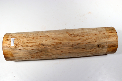 Karelian Masurbirch, spalted 340x90mm - KarMB2455