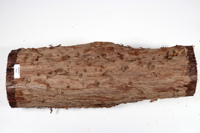 Eastern Red Cedar 330x110mm - Zed0355