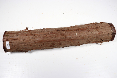 Eastern Red Cedar 365x65mm - Zed0352