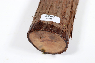 Eastern Red Cedar 405x50mm - Zed0348