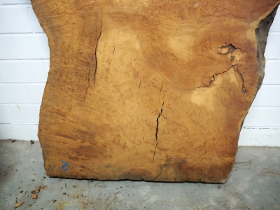 Tabletop Eucalyptus Burl 1270x1070x75mm - Euca0001