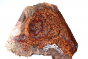 Burl Cap Chechen Burl 260x250x75...