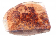 Burl Cap Chechen Burl 300x200x13...