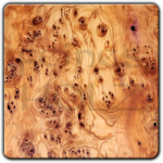 Preciuos wood of the month: Yew - 10% discount
