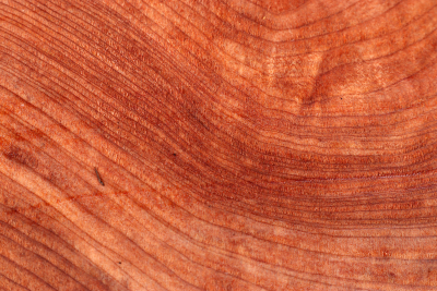 Redwood Burl 270x215x75mm - Redw0092