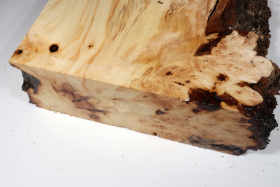 Horse Chestnut Burl 285x260x75mm - Roka0333