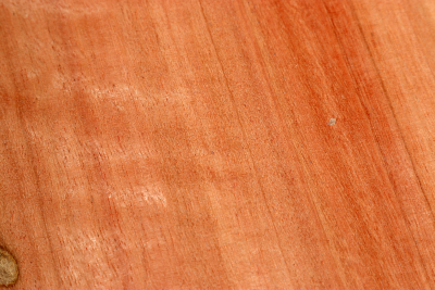Klotz Eukalyptus, rot 195x170x55mm - Euka0177
